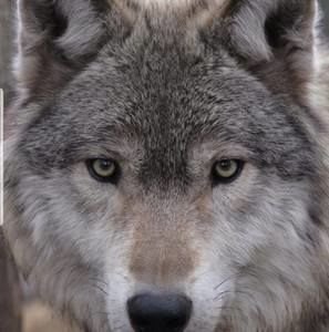 Meet your Posher, Kathleen